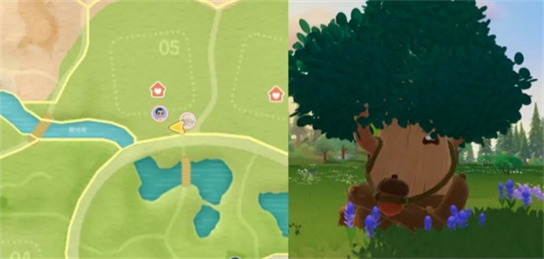 心动小镇11.7：溜溜橡木与无瑕萤石精准坐标