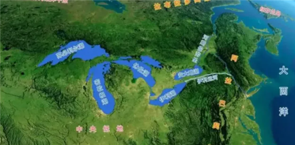 宠物金鱼北美泛滥：成群结队 堪称金鱼蝗灾”