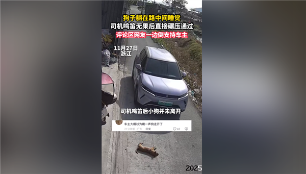 狗在路中间睡觉司机鸣笛无效后辗压 网友吵翻:到底要负责吗