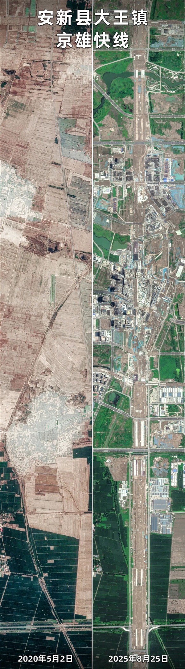 卫星眼中的雄安速度！从2020到2025 绿化与大楼同生长