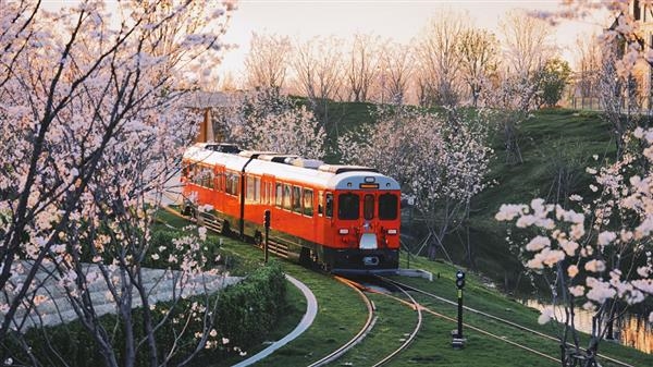 2025年华为花粉年会官宣：12月19日上海练秋湖见！