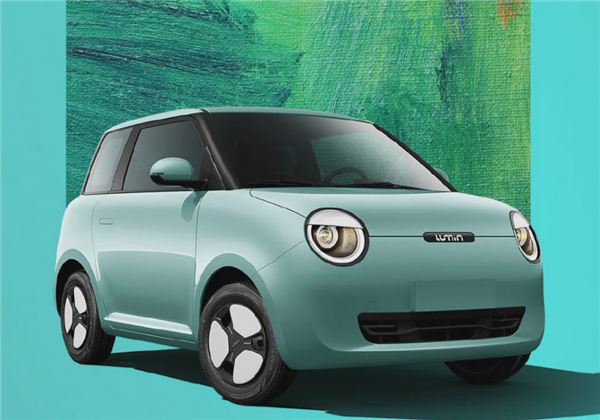 长安糯玉米提车4天后轮抱死 女车主:我以为车着了