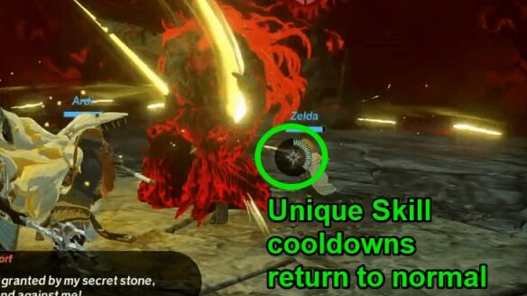 盖侬多夫终极战演示