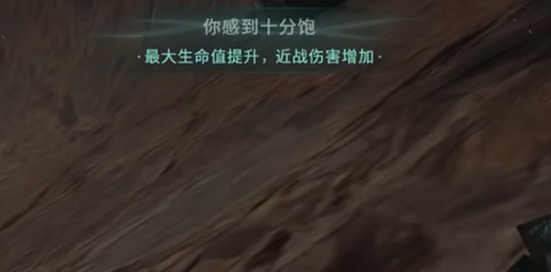 营地周边林地区域