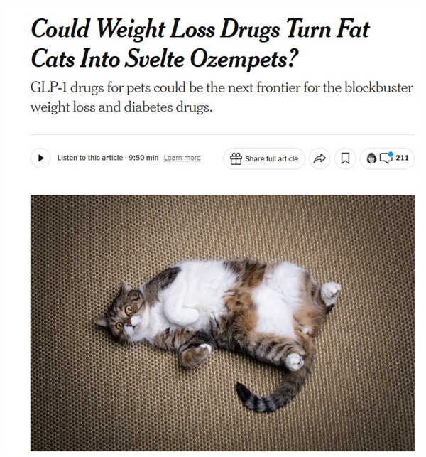 全球首款猫用减肥药进入临床试验:声称能“延年益寿”