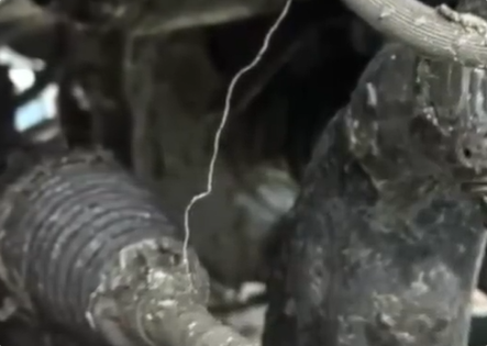 40余车碾压海鲜废料臭到无法开:花数千元清洗几次仍有味道