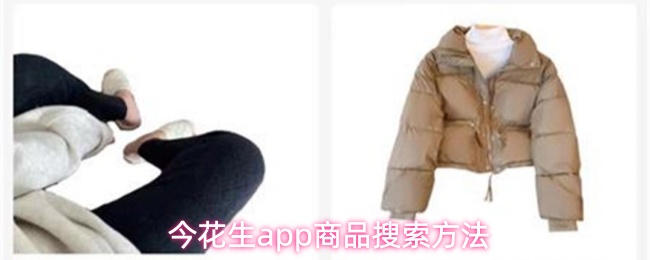 今花生app首页界面展示