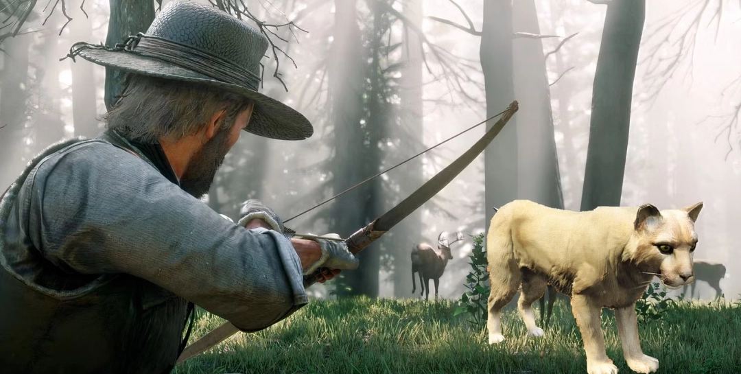 动物模型对比示意图