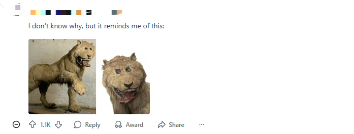 美洲狮特写对比