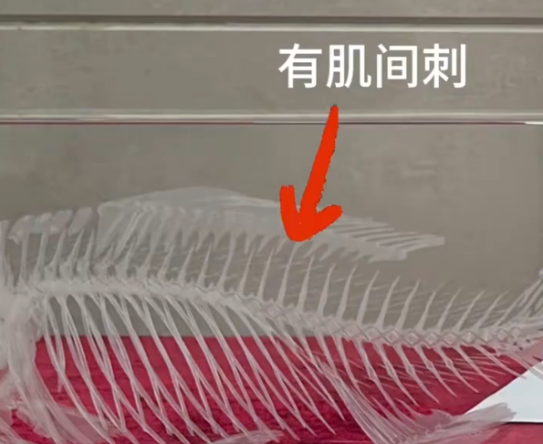 中国人终于对鱼刺“下手”了 中科院培育出无肌间刺鲫鱼
