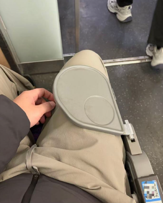 网友吐槽高铁“巴掌大小”桌板 12306回应