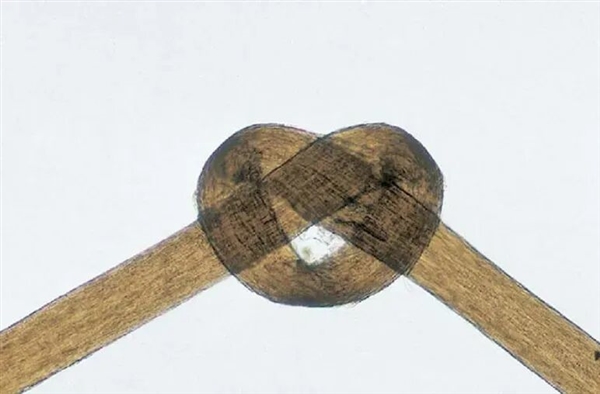 头发开叉其实是种病,很多人忽视了!3步就能改善