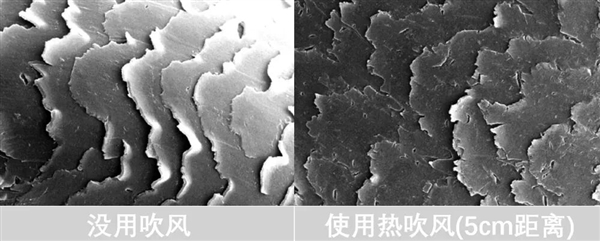 头发开叉其实是种病,很多人忽视了!3步就能改善