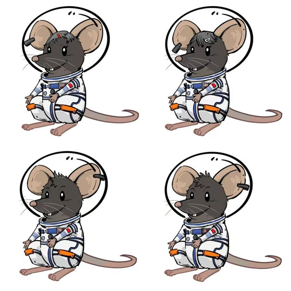 首次太空出征！我国四只“飞天小鼠”名字揭晓 还有专属卡通形象