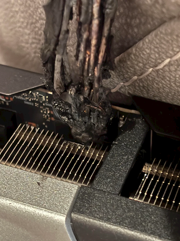 RTX 5090原装电源线起火面目全非!CPU水冷管惨遭波及