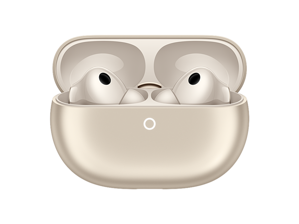 2025年度评奖：智能穿戴篇