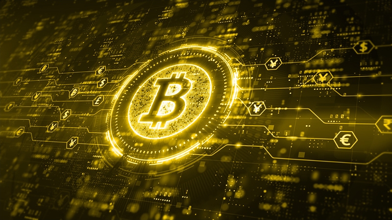 潜水员戴夫-鲳鲹捕获技巧大揭秘