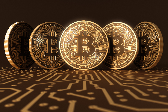 鹅鸭杀-追踪者技能玩法全解析