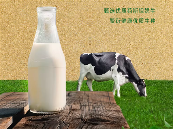 原生高钙：金典纯牛奶2.3元/盒百亿补贴（商超6元）