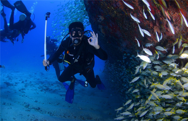 网民投诉反相关海域存在非法潜水活动 当地通报核查情况