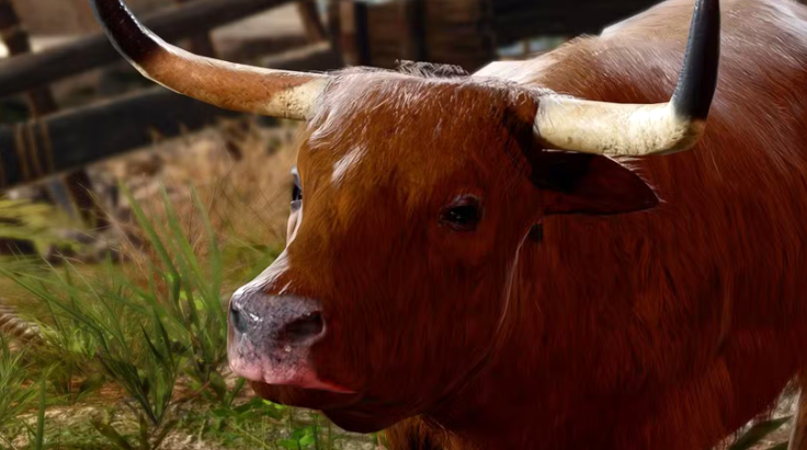 模组物品细节展示