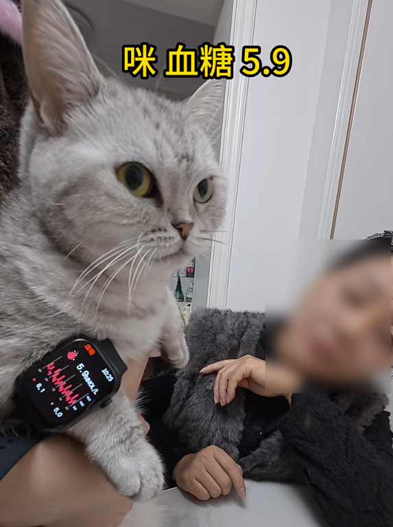 号称“德国进口”!84元网购手表测出吸尘器血糖7.4