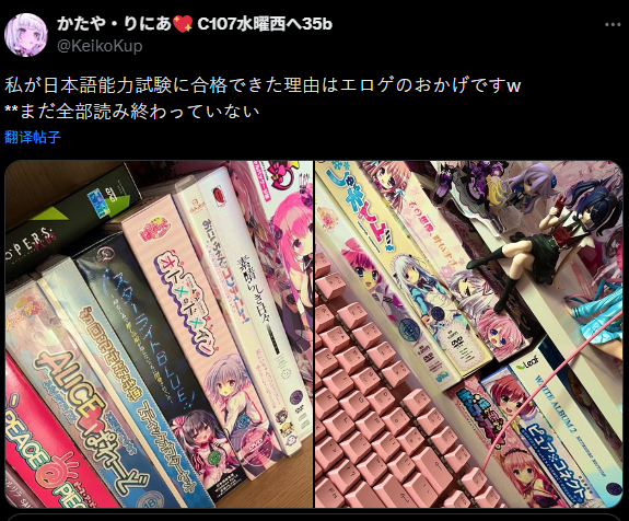 《兰斯》游戏内文本截图与日语教材对比