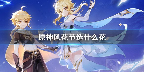 风花节花卉选择示意图