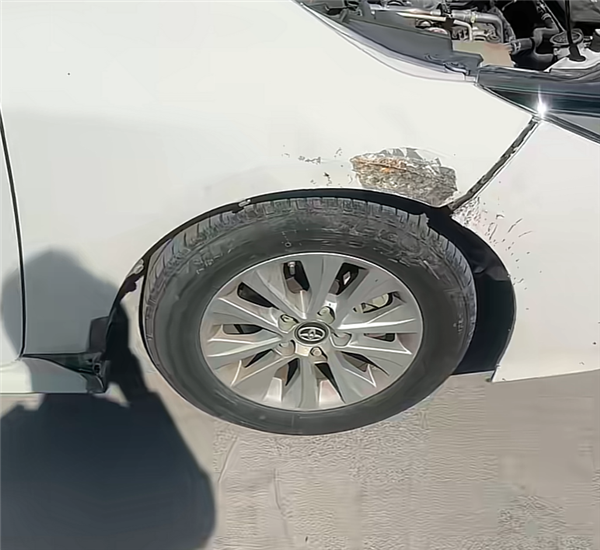 光天化日下两条狗拆了一辆日本车