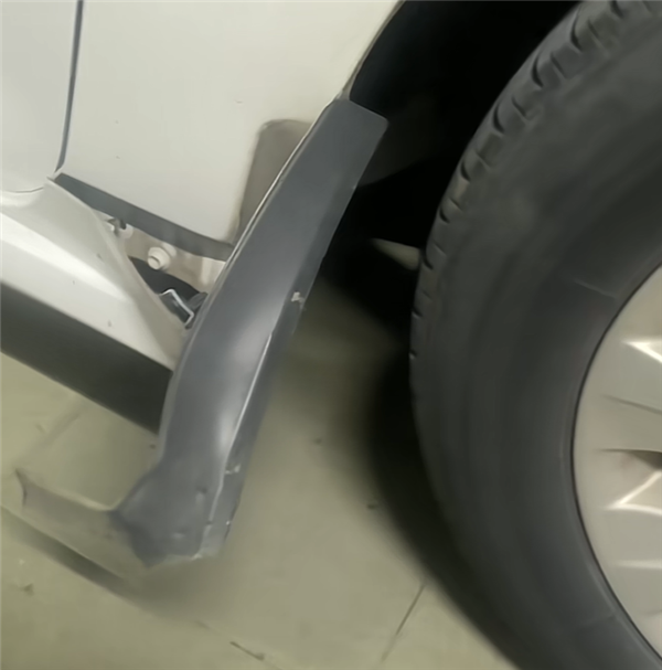 光天化日下两条狗拆了一辆日本车