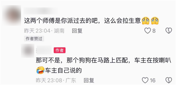 光天化日下两条狗拆了一辆日本车