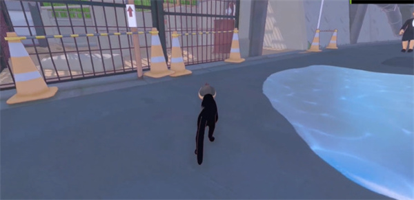 《小猫咪大城市》遇到一只鸟儿攻略