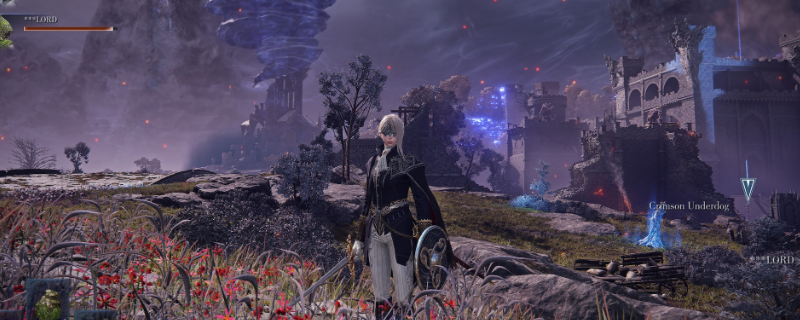 《艾尔登法环-黑夜君临》隐士流派全解析