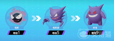 耿鬼道具搭配指南-宝可梦大集结耿鬼最强道具