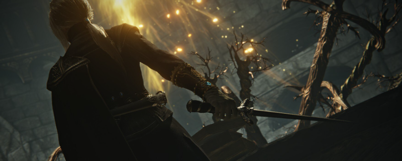 《艾尔登法环：黑夜君临》执行者的小众玩法攻略