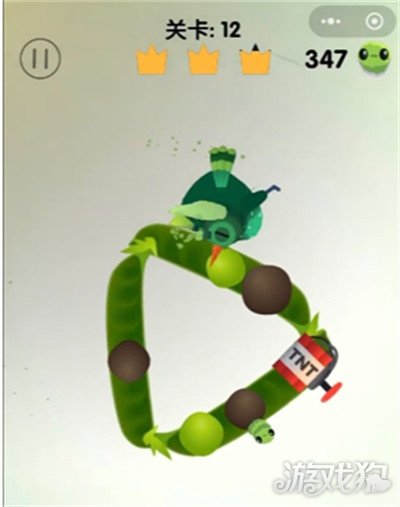 疯狂的鸽子第12关怎么过3