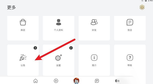 罗布乐思公告界面
