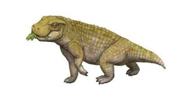 鲸鱼和鳄鱼的趋同进化！鲸鱼有很多地方都像鳄鱼 曾经也有鳄鱼很像鲸鱼