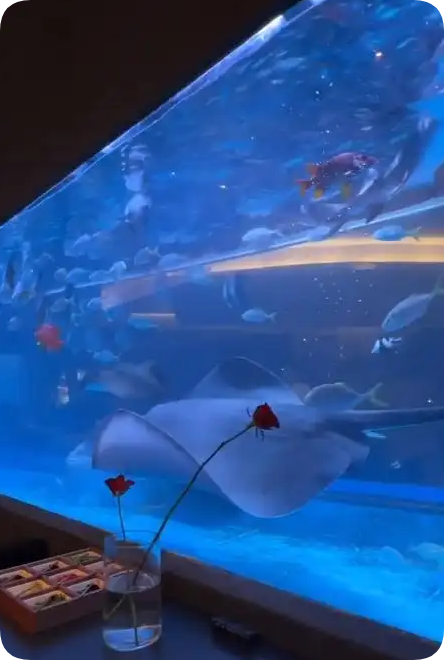 网友质疑火锅店用鱼缸养饲养鲨鱼 涉事火锅店回应：有相关证书