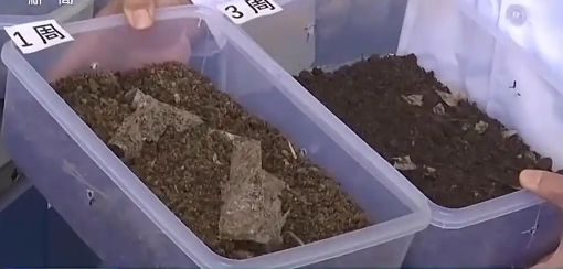 生物降解塑料袋新国标明年实施：标识、降解率等全面升级