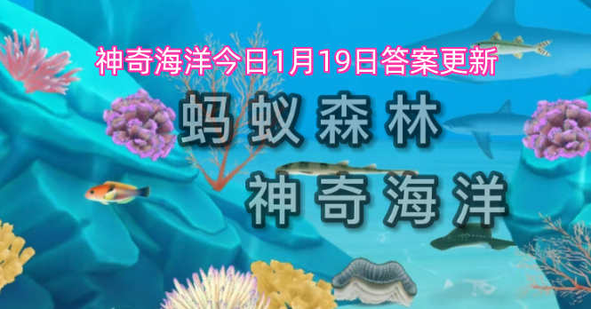 神奇海洋今日1月19日答案更新