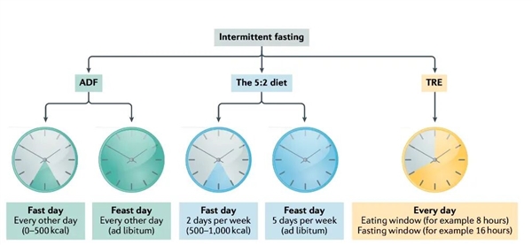 “饿死肿瘤”的方法竟然真的找到了!
