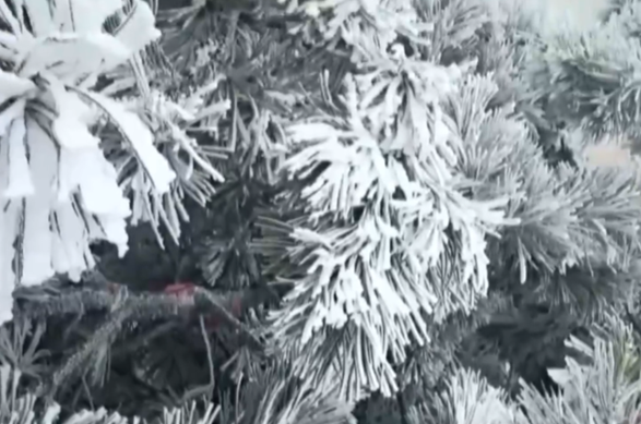 衡山冻成了“冰河世纪” 景区提醒：步行往返需10小时 请谨慎选择