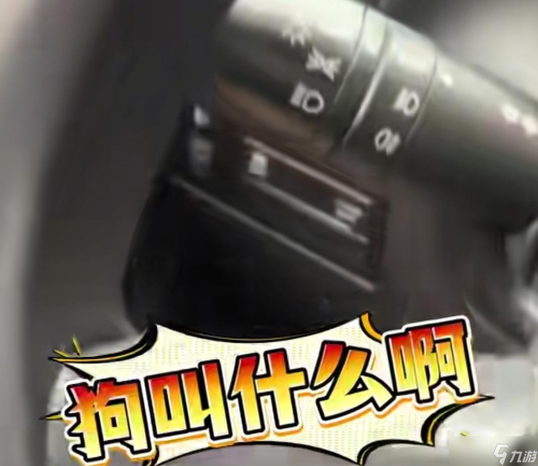 女子车停路中间致堵车20分钟，被路人质问反怼:狗叫什么?挪一遍了