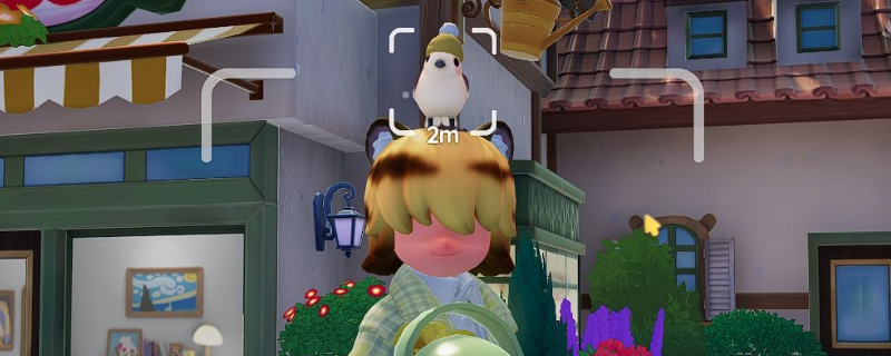 《心动小镇》观鸟发现鸟类方法介绍