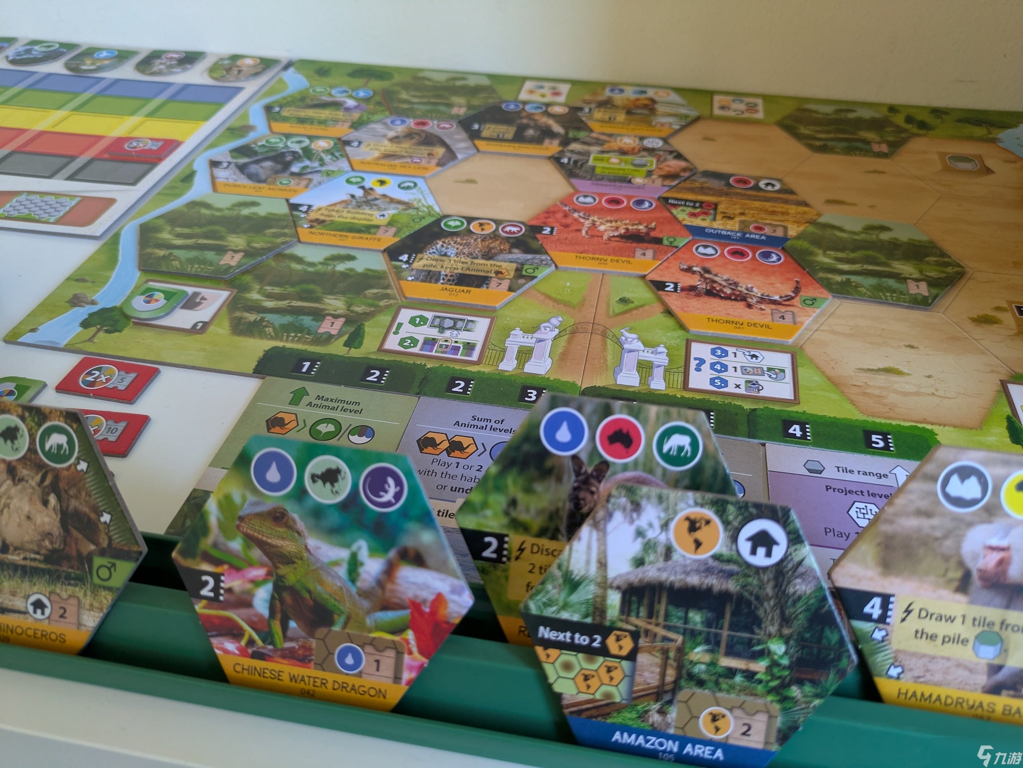 《圣所》桌游评测