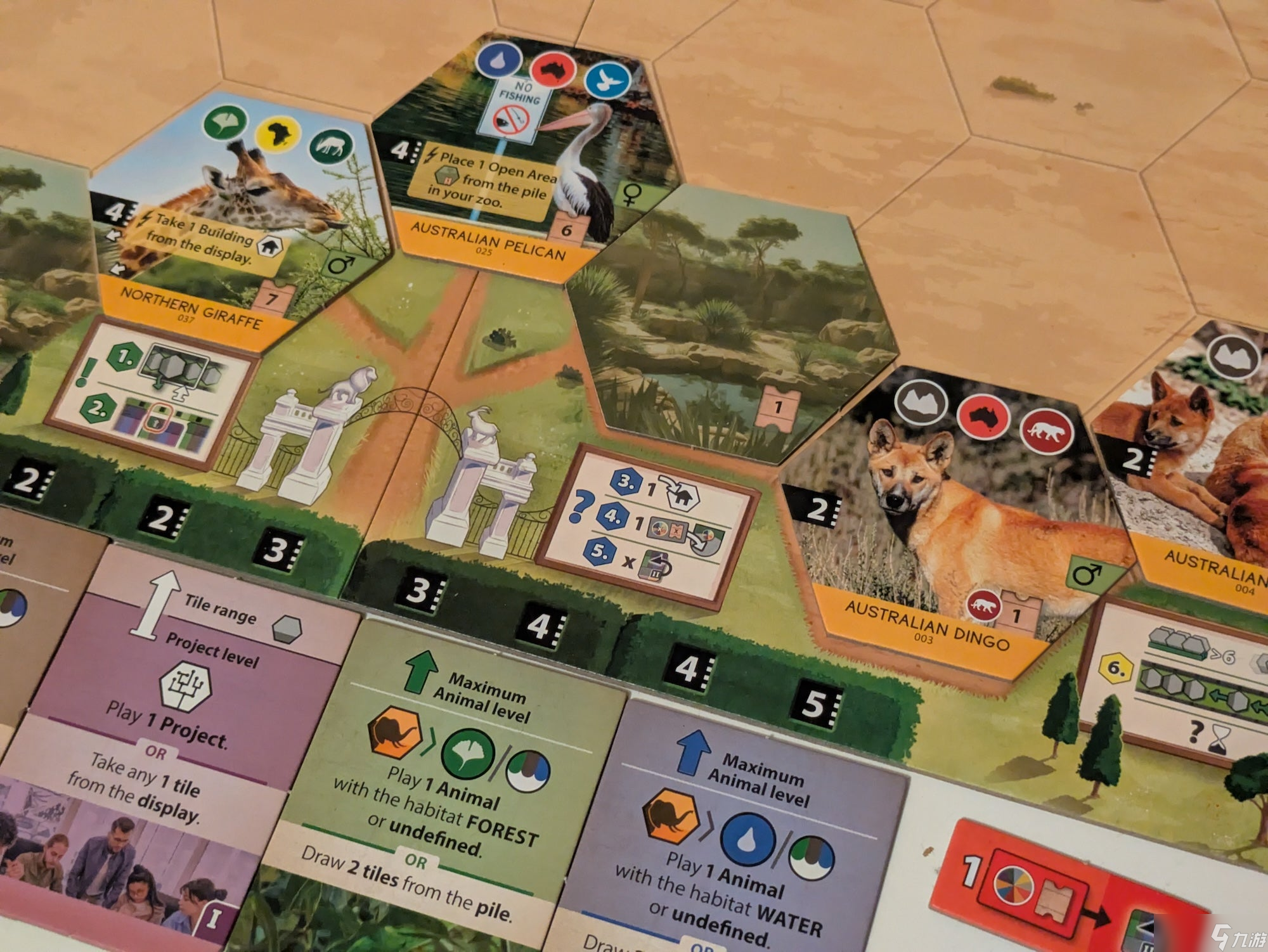 《圣所》桌游评测