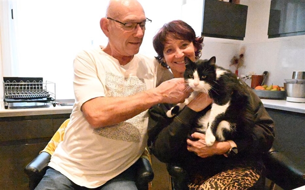 法国奶牛猫在西班牙走丢 徒步250公里创奇迹安全回家