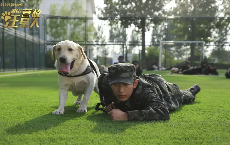 1769584148872029.png QQ20260128-150056.png