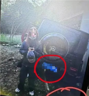 演员金晨被曝肇事逃逸让助理顶包 交警回应：正在核实